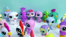 LPS Colorfully Cute Blind Bag Mystery Littlest Pet Shop Dog Beverly Unboxing