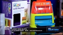 Light-up shoes... for your dog? - Adam Housley showcases the Reflect and Protect Active Dog Vest, St