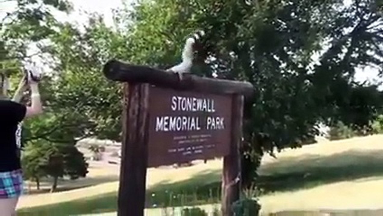 Hits n Hits - Very Funny