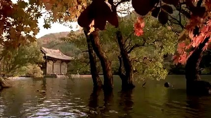 Spring, Summer, Fall, Winter... and Spring (Self-Immolation scene)