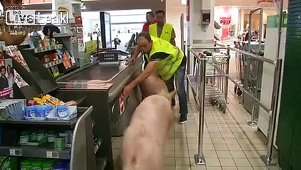 Pigs in the Supermarket