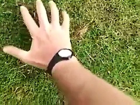 Attraper une taupe à main nue