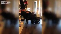 Guy gets tazed for wrestling with cops