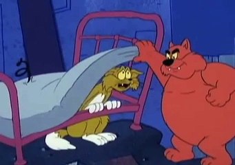 FRAIDY CAT: Magic Numbers