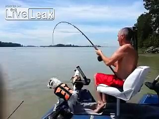 Battling a 5.5 ft Fraser River Sturgeon....Vancouver BC CANADA