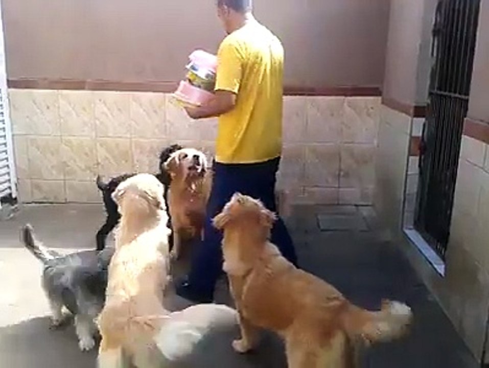 VID-20150220-WA0000.mp4