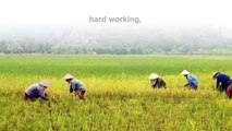 Yen Duc village ( Vietnam) -  Halong Bay plus experience