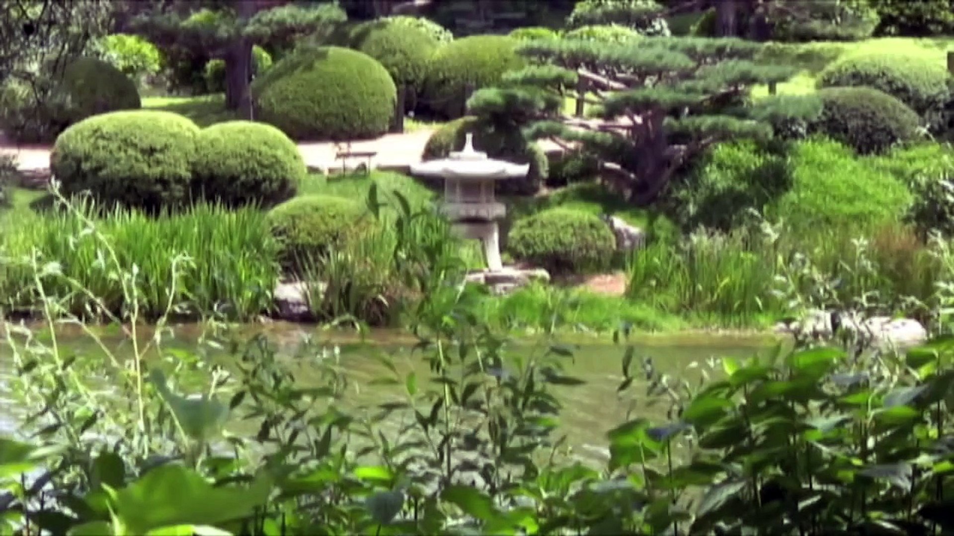 Japanese Garden, Chicago Botanic Garden 2009