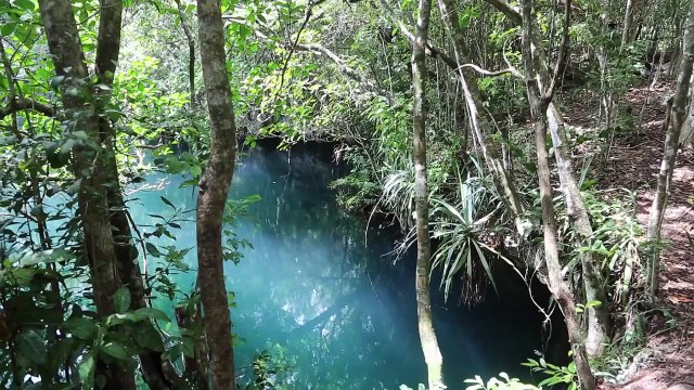 Cenote Angelita: Underwater River