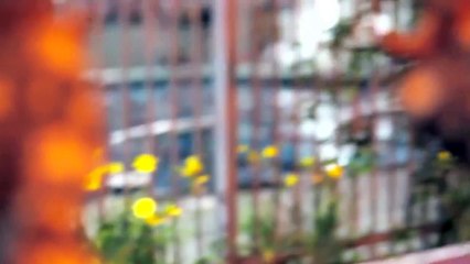 Lil B - Ryan Seacrest *MUSIC VIDEO* EPIC COOKING MUSIC!! OMG GIRLS UR GUNA LOVE IT!