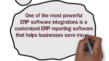 ERP Software Integration