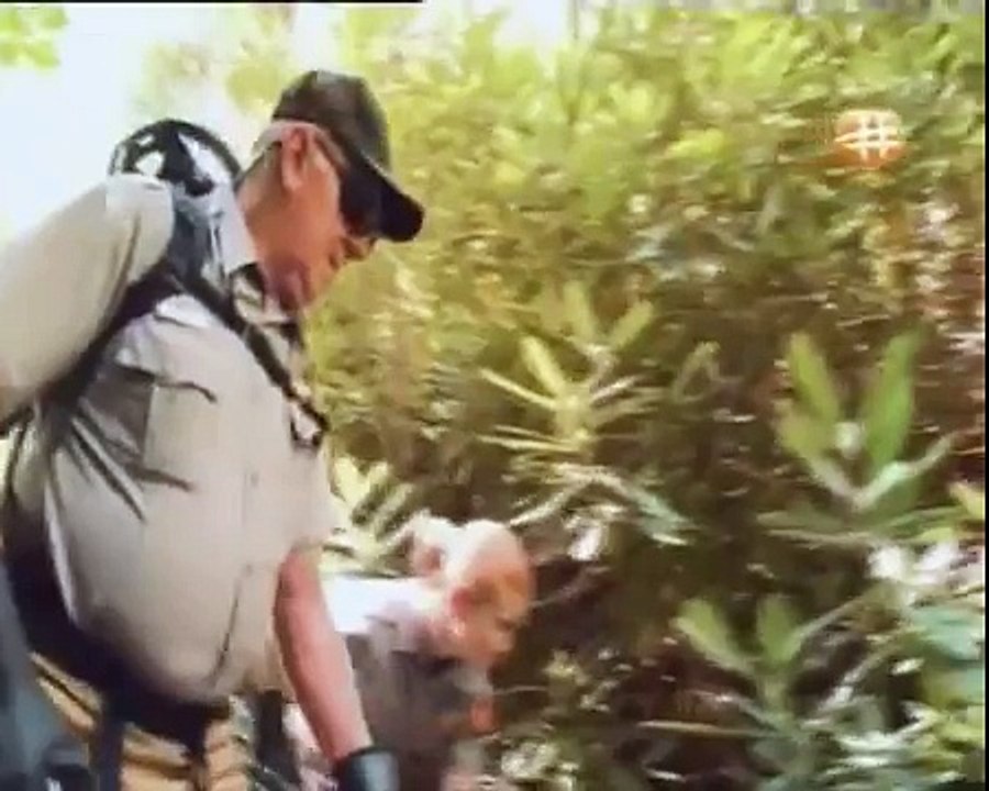 Into The Wilderness Part 1