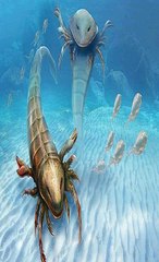 descubren nueva especie de escorpión