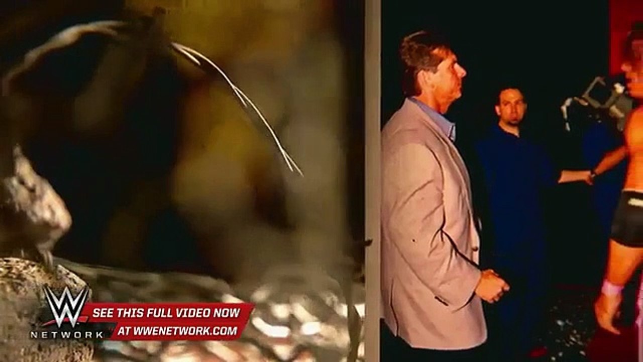 WWE Network_ The Monday Night War ldquo;The Hart of War rdquo; preview WWE