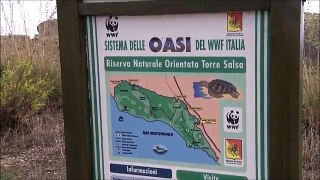 Riserva Naturale Orientata di Torre Salsa : WWF Italia