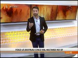 Fogo ja destruiu 5 mil hectares no DF