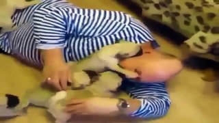 best funny animals compilation 2015