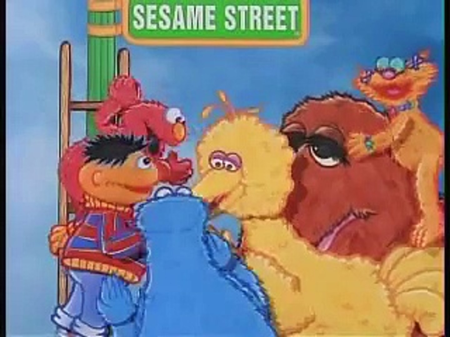 Opening To Sesame Street's 25th Birthday: A Musical Celebration DVD(1997), image size:1440x1080