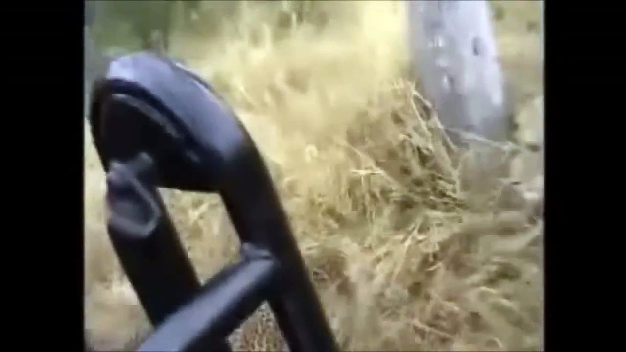 [ Wild Animal Planet ] Leopards vs  Lions Full Documentary