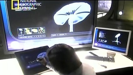 Extraterrestres : Exo Planeta Aurélia (Completo)