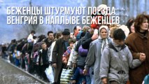 Беженцы в Венгрии устроили беспорядки