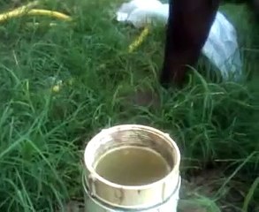 Crackhead gargles shit water 4 fresh mouth