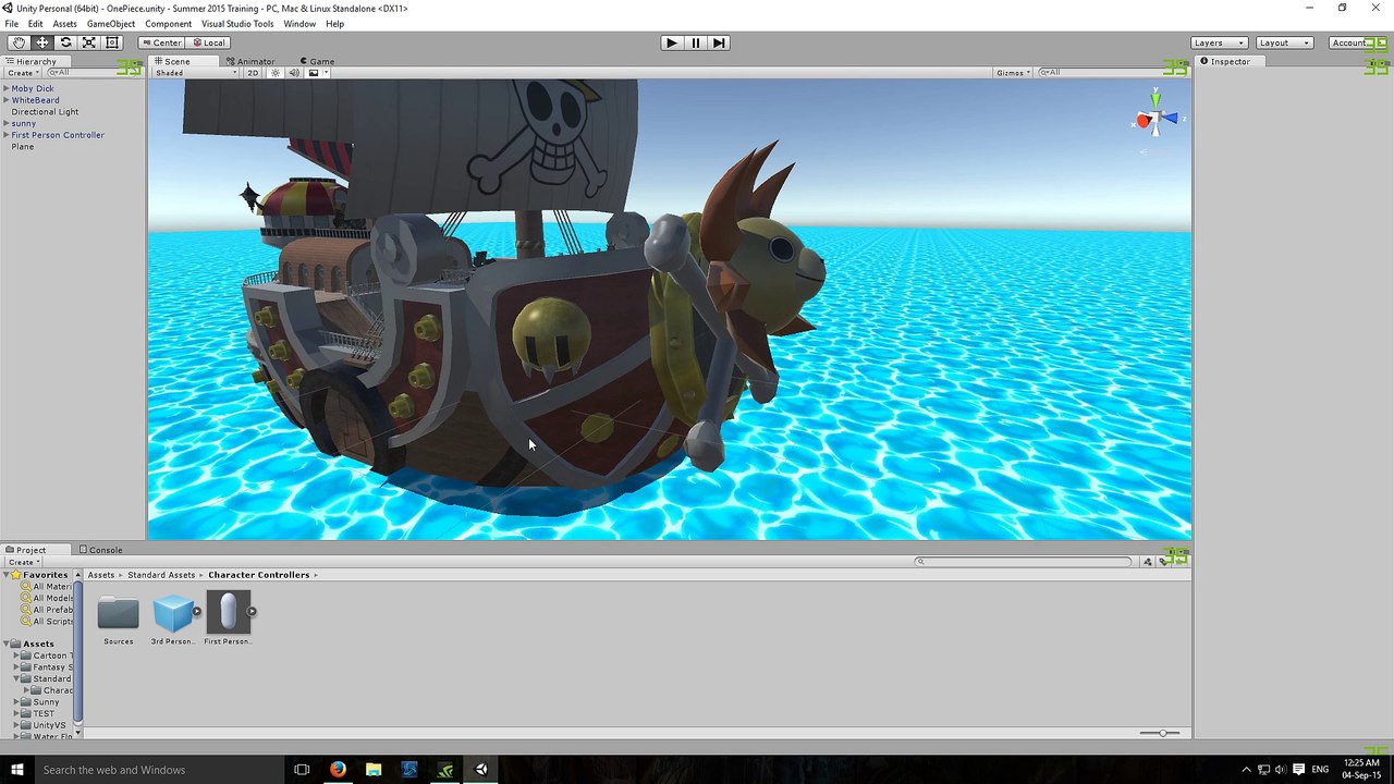 Thousand Sunny Experience - Project
