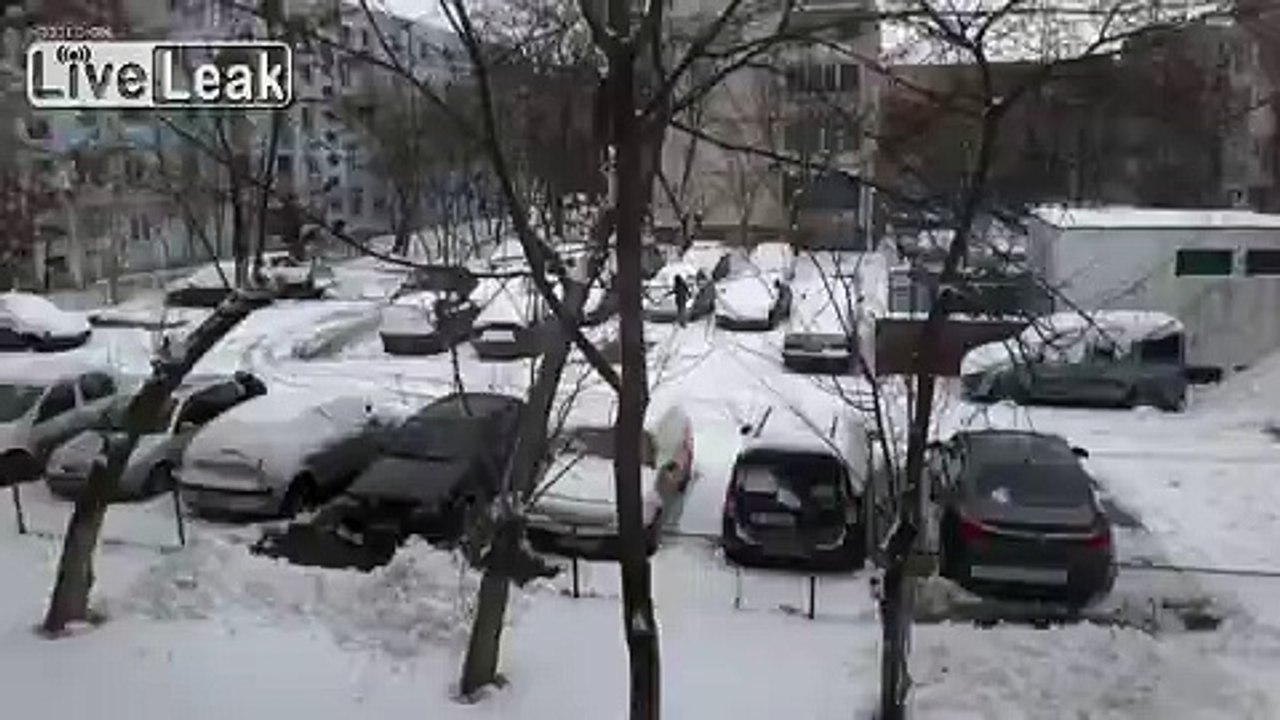 How to remove snow from your car (blonde girl method)