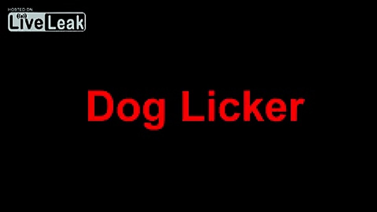Dog Licker