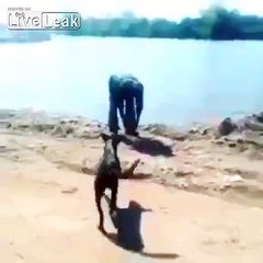 Torturing a dog with karma