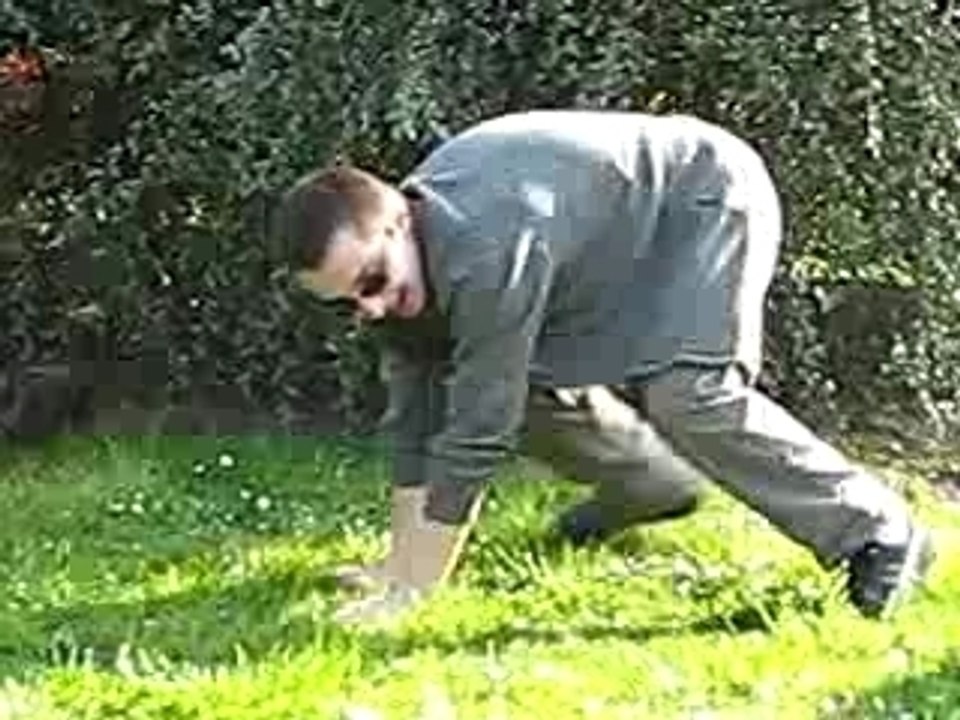 selber transfomer en chien