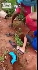 A*sholes Kill A Crocodile