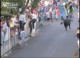 Bulls and More Bulls