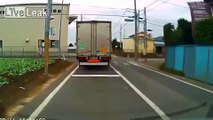 Japanese elementary student hit by delivery truck