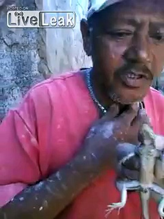 Eating a live lizard
