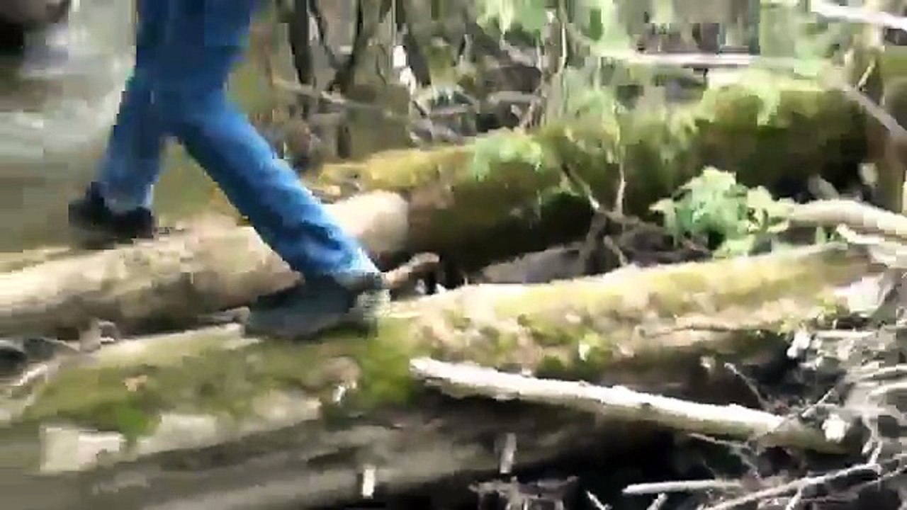 The Hunt For Bigfoot: A Documentary 2012