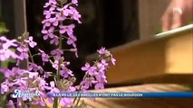 Les animaux de la 8 - Escapade animalière en Meurthe et Moselle