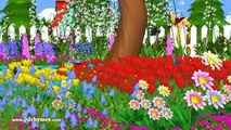 Mary Mary Quite Contrary   3D Animation English Nursery Rhyme for Children