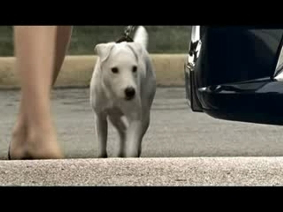 Publicité Peugeot 908 HDi FAP Le Mans