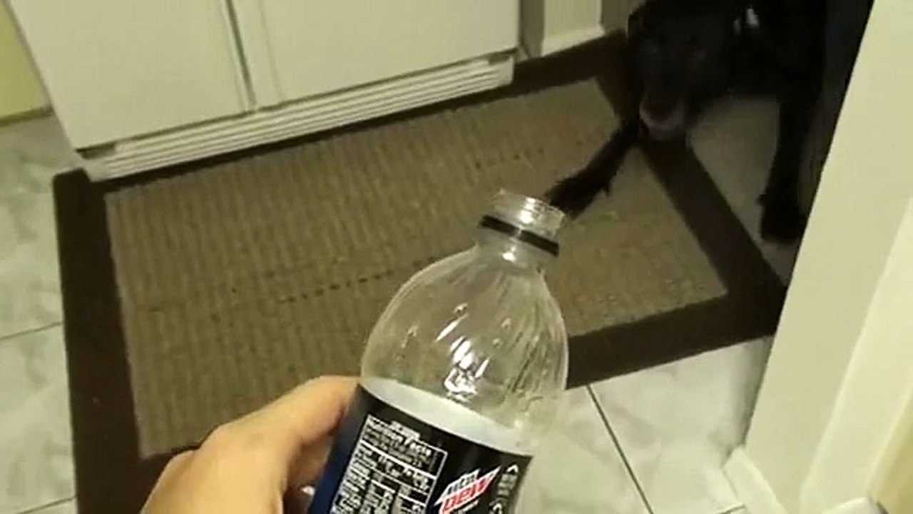 Want sum mnt dew?