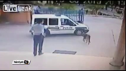 Police officer shots dog.