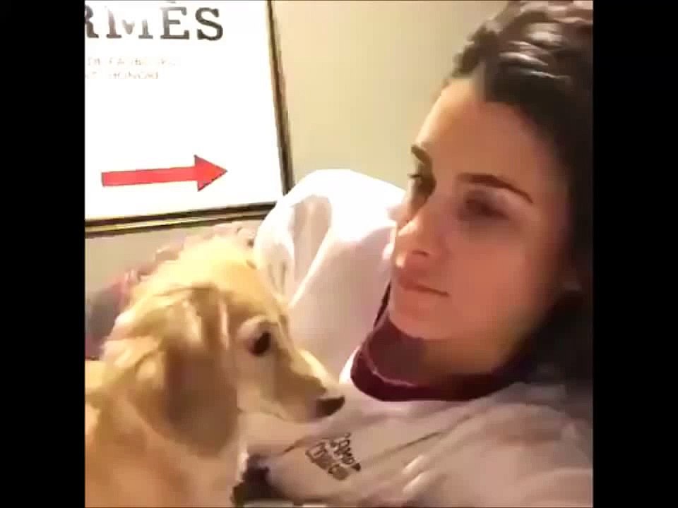 Dog sticks his nose in girls mouth
