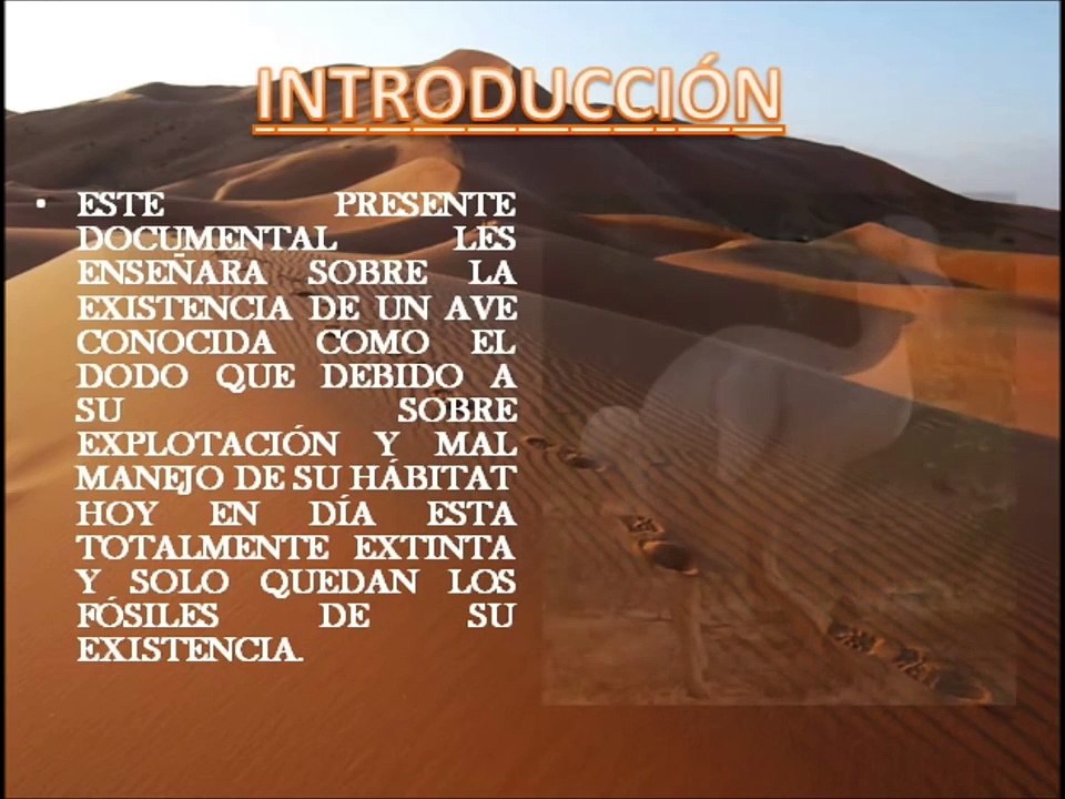EL MEJOR DOCUMENTAL DEL DODO (EXTINTO)..