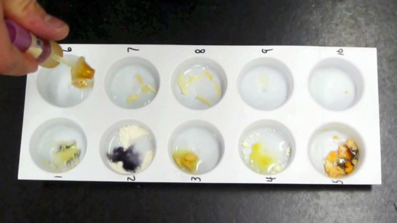 Food Starch Tests