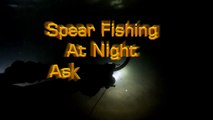 צלילת לילה אשקלון יח אלול SPEAR FISHING ISRAEL 2 9 15