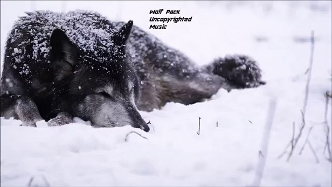 Witt Lowry - My Mistake (feat. Trippz Michaud) [New Music]