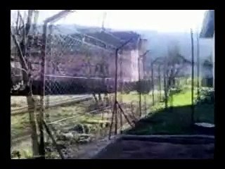 ona voli fergusona imt 533