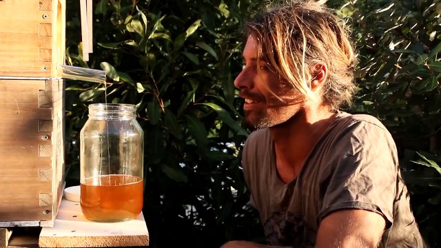 New Invention - Honey Flow (FLOWhive): Honey on Tap Directly From Beehive