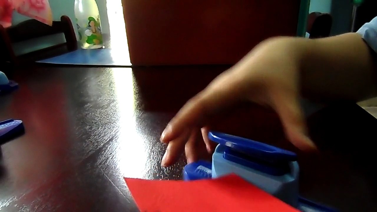 WATCH: New border punches/punchers