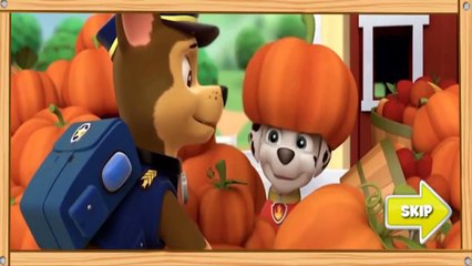 Paw Patrol Full Episodes Paw Patrol Cartoon Paw Patrol Games (New HD)